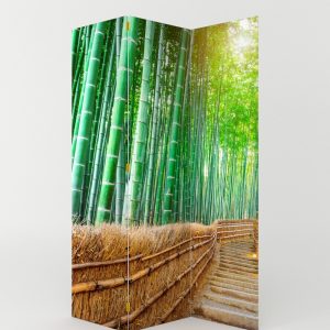 PARABAN CAMINO DE BAMBÚ