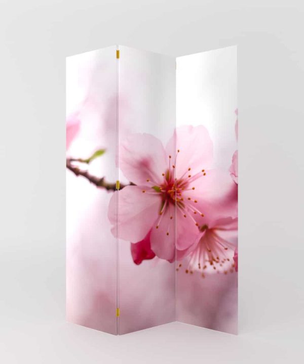 PARABAN FLOR DE CEREZO