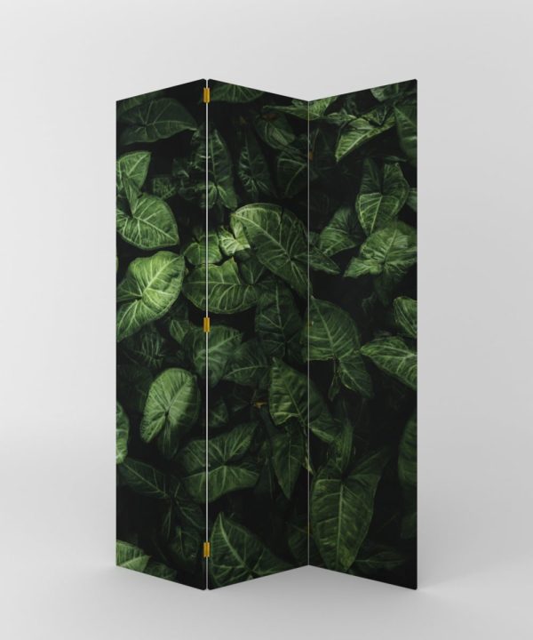 PARABAN TROPICAL VERDE