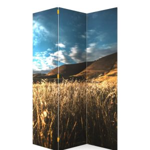 PARABAN DIA EN EL CAMPO