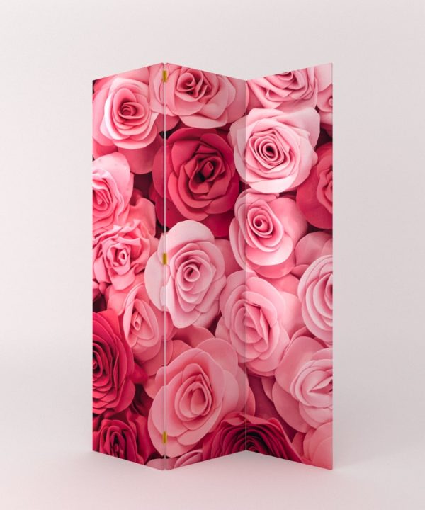 PARABAN ROSAS