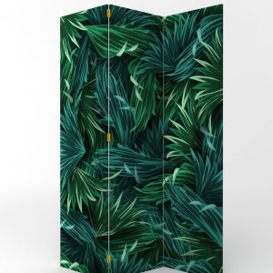 PARABAN SELVA TROPICAL