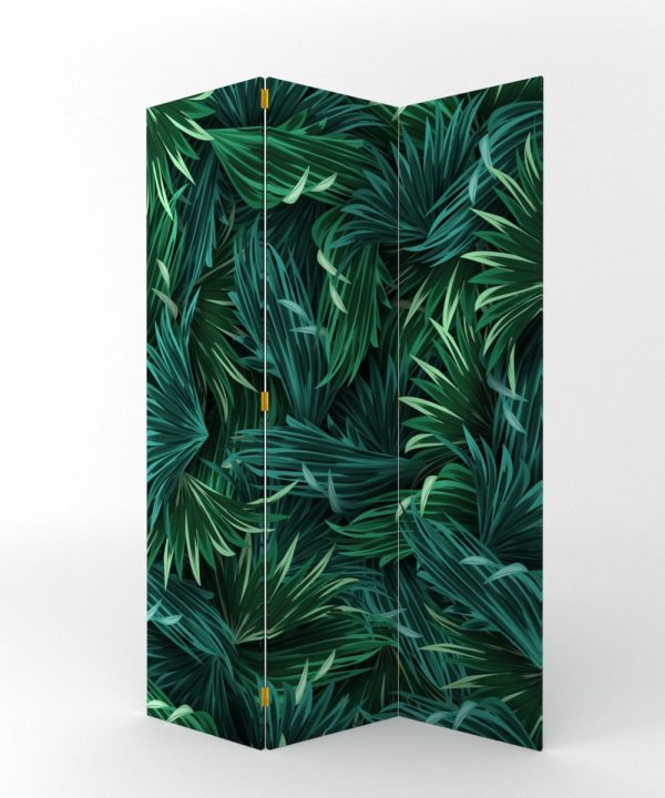 PARABAN SELVA TROPICAL