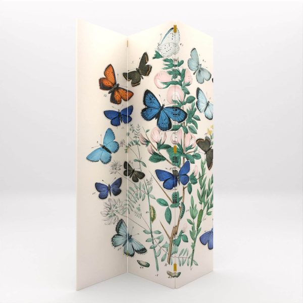 PARABANES MARIPOSAS