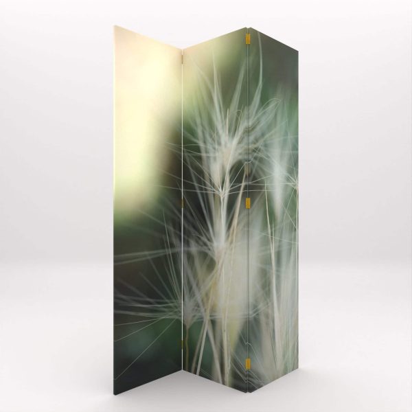 PARABAN FLOR EN EL VIENTO