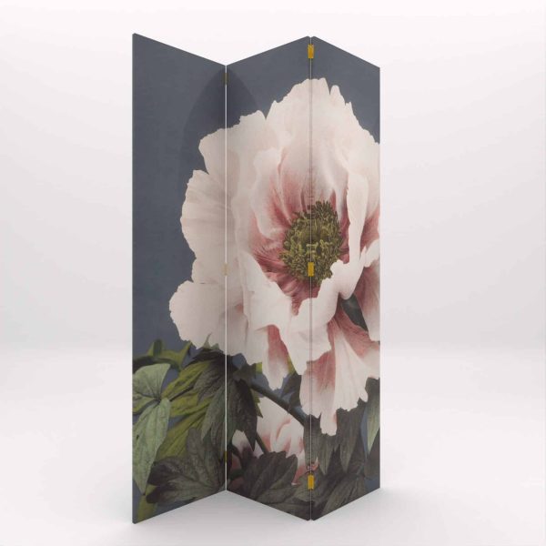 PARABAN FLOR ROSA