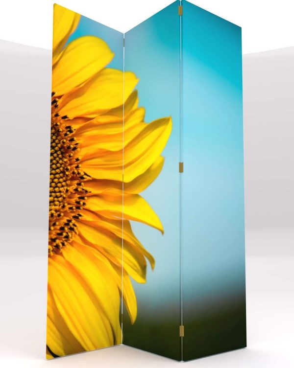 PARABAN GIRASOL